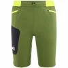 Shorts Randonnée MILLET LTK SPEED LONG SHORT M FERN BLACK 22 Vert / Jaune / Noir