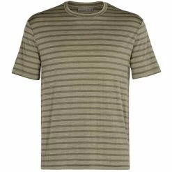 T-shirts Polos Randonnée ICEBREAKER M UTILITY EXPLORE SS CREWE STRIPE FLINT 21 Marron / Vert