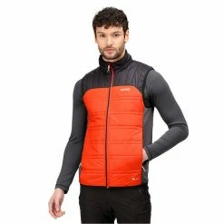 Vestes Randonnée REGATTA HALTON B/W V CAJUNORA/BLK 22 Orange / Noir