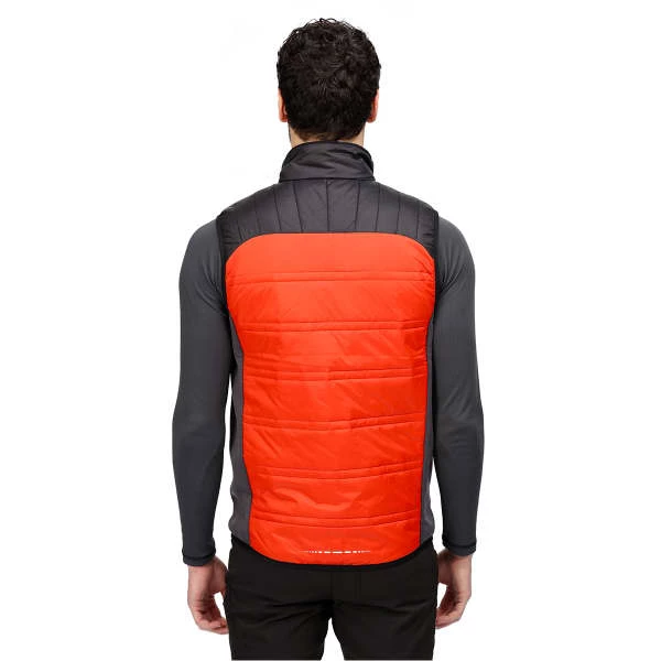 Vestes Randonnée REGATTA HALTON B/W V CAJUNORA/BLK 22 Orange / Noir 2 Vestes Randonnée REGATTA HALTON B/W V CAJUNORA/BLK 22 Orange / Noir – Image 2