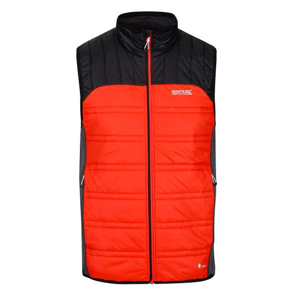 Vestes Randonnée REGATTA HALTON B/W V CAJUNORA/BLK 22 Orange / Noir 3 Vestes Randonnée REGATTA HALTON B/W V CAJUNORA/BLK 22 Orange / Noir – Image 3