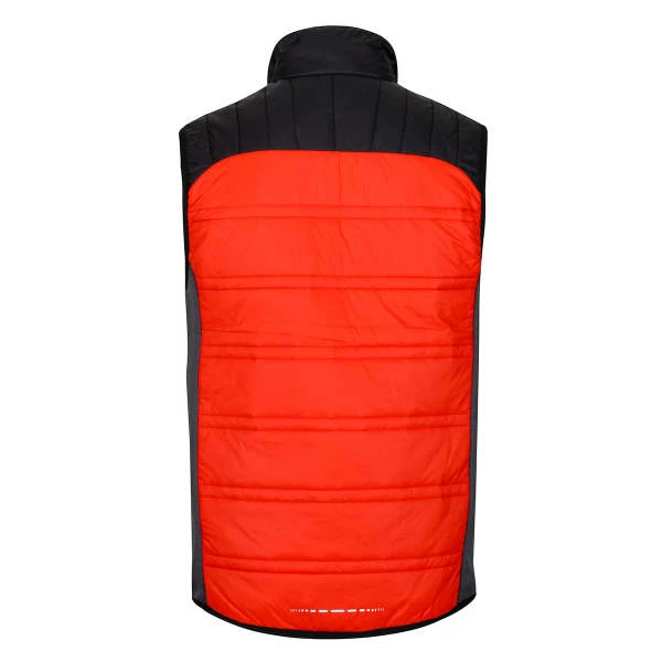 Vestes Randonnée REGATTA HALTON B/W V CAJUNORA/BLK 22 Orange / Noir 4 Vestes Randonnée REGATTA HALTON B/W V CAJUNORA/BLK 22 Orange / Noir – Image 4
