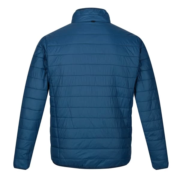 Vestes Randonnée REGATTA WENTWOOD VI 3IN1 MOONLTDN/NVY 22 Bleu 6 Vestes Randonnée REGATTA WENTWOOD VI 3IN1 MOONLTDN/NVY 22 Bleu – Image 6