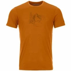 T-shirts Polos Randonnée ORTOVOX 150 COOL LOGO SKETCH TS M SLY FOX 22 Marron