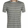 T-shirts Polos Randonnée ICEBREAKER M WAVE SS TEE STRIPE METRO HTHR/LODEN/S 22 Gris / Vert