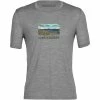T-shirts Polos Randonnée ICEBREAKER M TECH LITE II SS TEE TRAILHEAD METRO HTHR 22 Gris