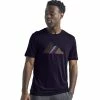 T-shirts Polos Randonnée ICEBREAKER M SPECTOR SS CREWE SEVEN SUMMITS MIDNIGHT NAVY 22 Bleu