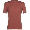 T-shirts Polos Randonnée ICEBREAKER M ANATOMICA SS CREWE GRAPE 22 Rouge