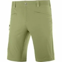 Shorts Randonnée SALOMON WAYFARER SHORTS M MARTINI OLIVE 21 Vert