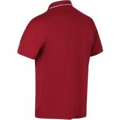 T-shirts Polos Randonnée REGATTA MAVERIK V DELHI RED 21 Rouge 9 T-shirts Polos Randonnée REGATTA MAVERIK V DELHI RED 21 Rouge -Vêtements de randonnée Homme Soldes 9 95106 maverik v delhi red rmt221 649 04